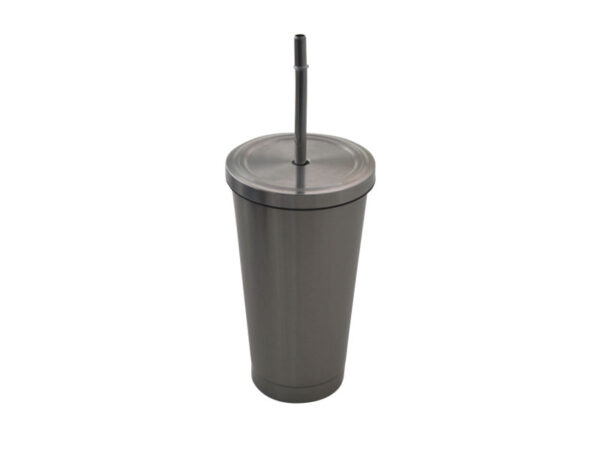 18oz Stainless Steel Tumbler with Straw & Lid