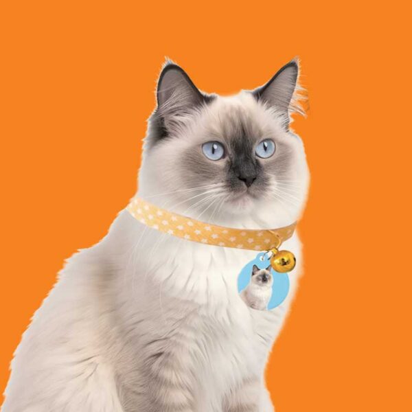 Pet Tag - Image 8