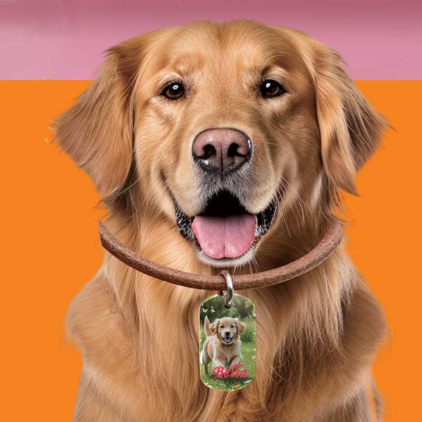 Pet Tag - Image 9